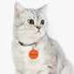 Orange Customizable - Pet Tag ~ Sharon Dawn Collection